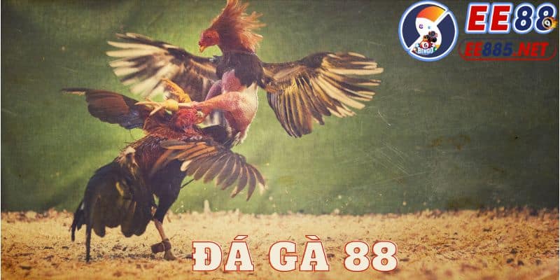 đá gà 88 